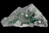 Green Cubic Fluorite with Calcite on Quartz - China #114025-1